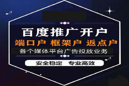 某行业巨头背后的SEM代运营托管公司
